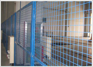 ܇(ch��)�g�o(h��)�ھW(w��ng)